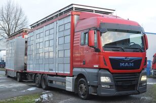 شاحنة نقل المواشي MAN TGX 26.420 Euro 6/ AT 18/73 + العربات المقطورة شاحنة نقل المواشي