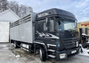 شاحنة نقل المواشي Mercedes-Benz Axor 1833